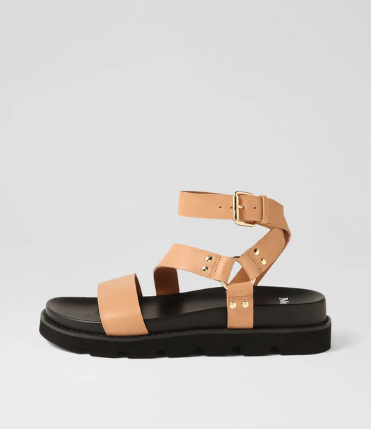 Caplan (Camel-Black)