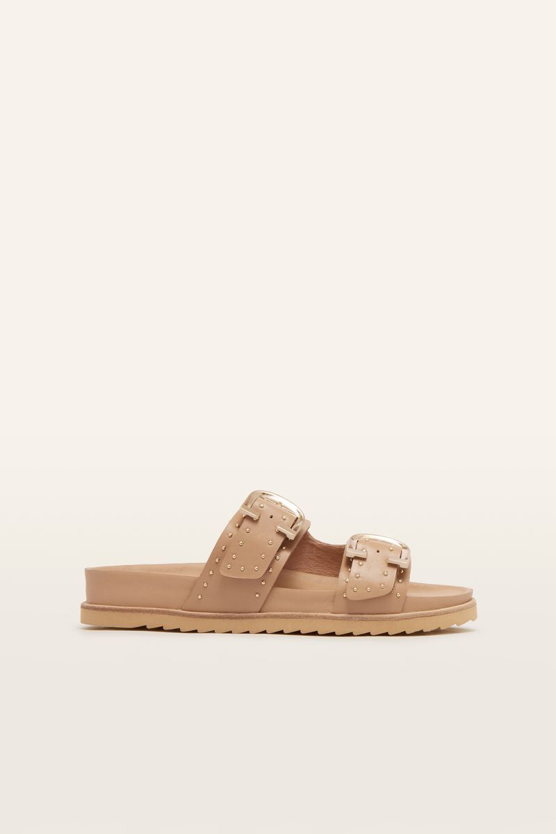 Deon (Camel Stud)