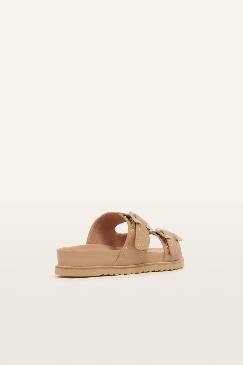 Deon (Camel Stud)
