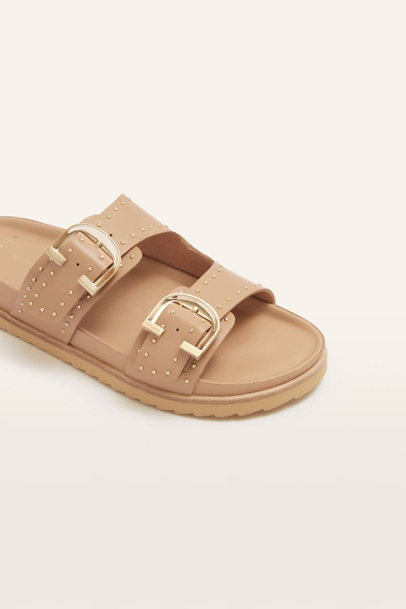 Deon (Camel Stud)