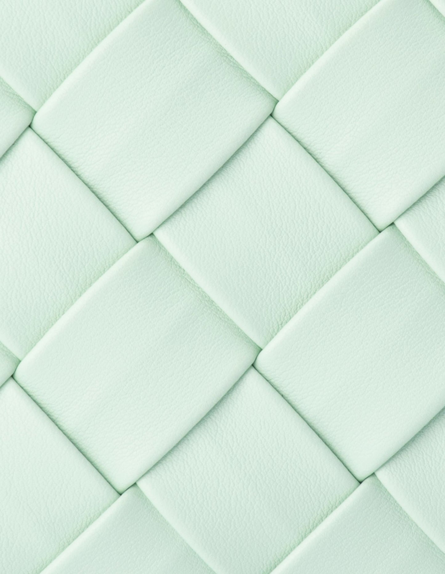 Quinn Women's Woven Clutch Bag in Mint Green | Gretel Lane
