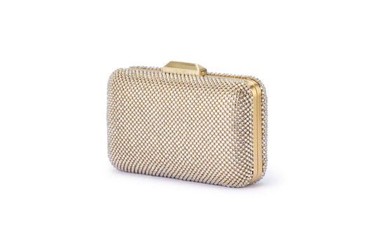 Ronny Crystal Mesh Clutch (Champagne)