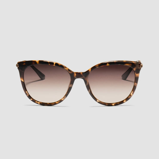 Ashley (Tortoiseshell)