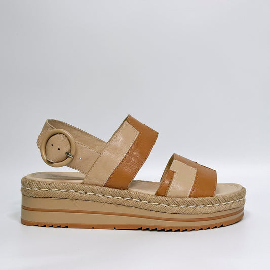 Atami (Dk Tan-Camel)