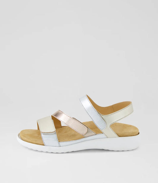 Boyde (Metallic Multi)