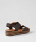 Cubbie (Choc)