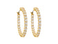 Dolce Vita Earring (Soft Gold)