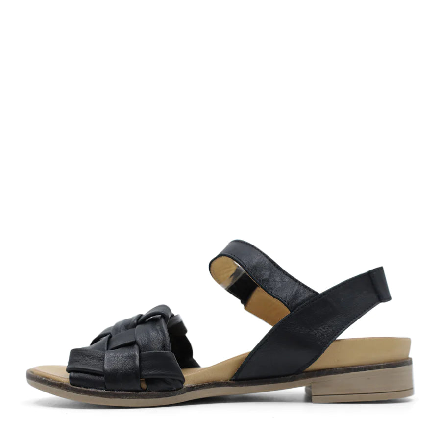 Goldie (Black)