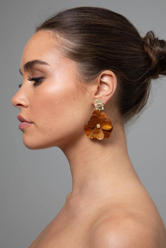Ariella Earrings (Brown)