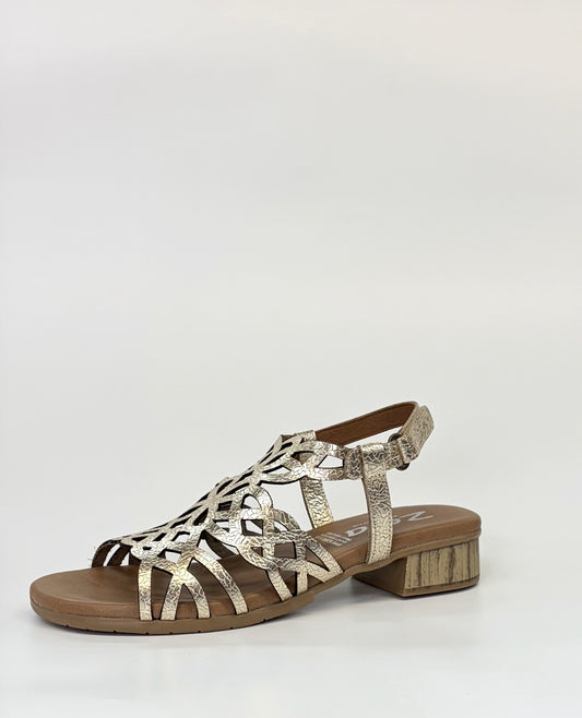 Zeta Hilite Women's Low Block Heel Sandal Champagne | Gretel Lane | Women's Sandal Heel