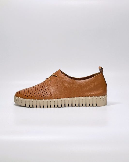 Huston (Dk Tan-Almond)