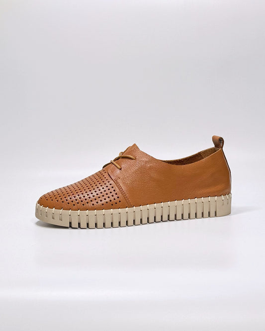 Huston (Dk Tan-Almond)