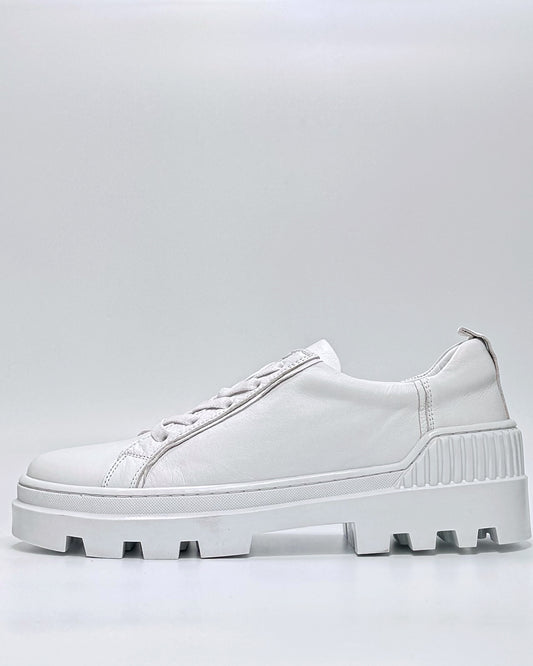Palladium (White)