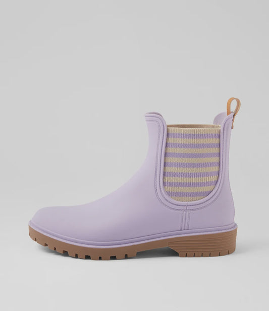 Laurina2 (Lilac Stripe)