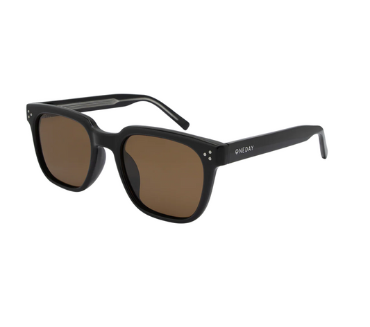 Parker (Black Brown Polarised)