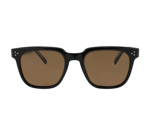 Parker Black Brown Polarised Womens Sunglasses