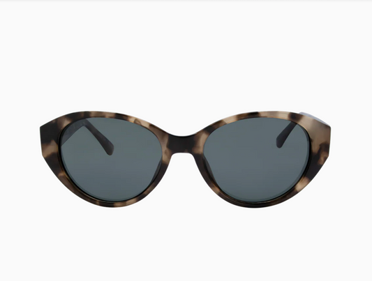 Polly (Tortoise G15 Polarised)