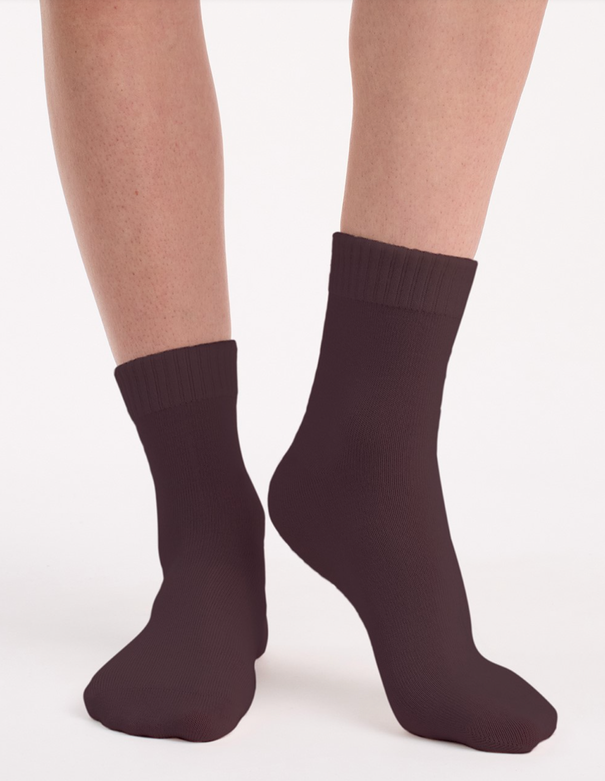 Ambra Rib Top Crew Sock - 2 Pair Pack in Ballet & Fudge | Women's Socks | Gretel Lane