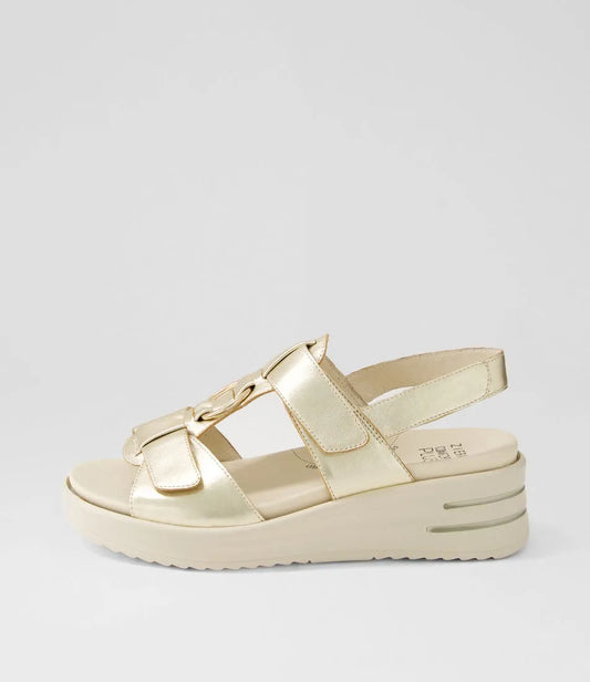 Sasson (Pale Gold-Vanilla)