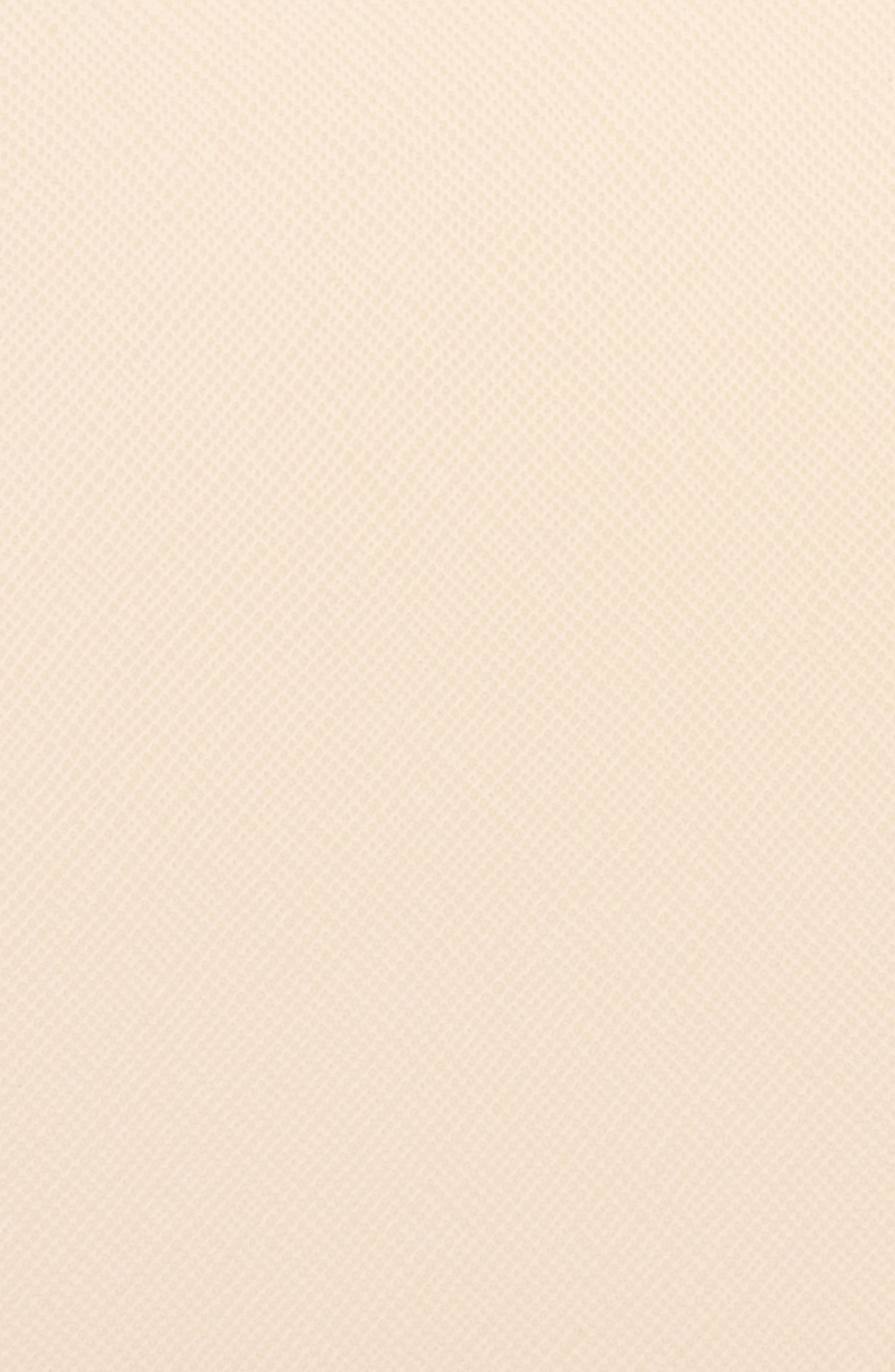 Wendy Acrylic Bead Bag (Natural)