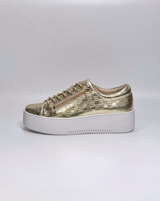 Wolfeta (Pale Gold-White)